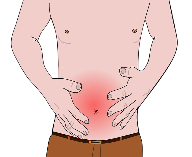 롬앤 베러 댄 팔레트 직접 써본 듯 꼼꼼한 데일리 아이섀도우 리뷰